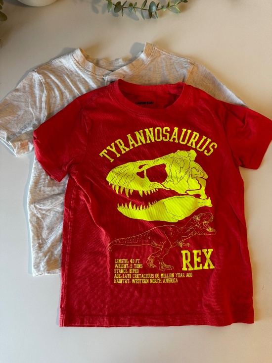 Old Navy Other - Boys Dinosaur T-Shirt Bundle Lands' End & Old Navy Size 6/7